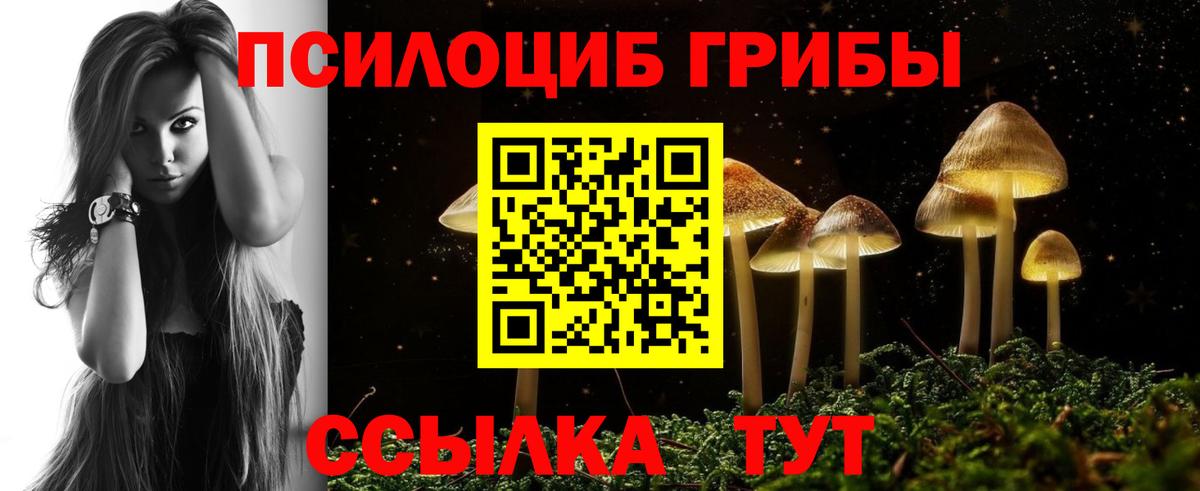 Тара  Галлюциногенные грибы Magic Shrooms  Вход с VPN 